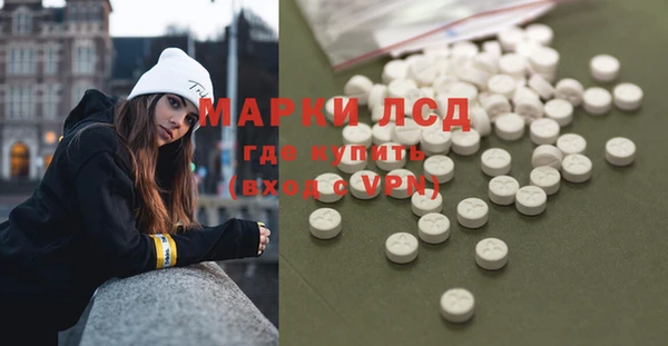 индика Арсеньев