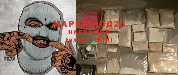 индика Арсеньев