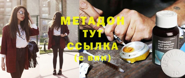 индика Арсеньев