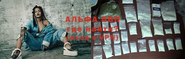 индика Арсеньев