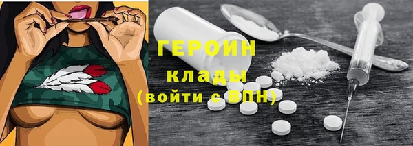 индика Арсеньев