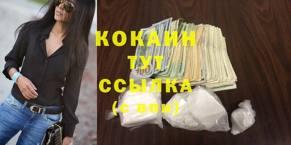 индика Арсеньев