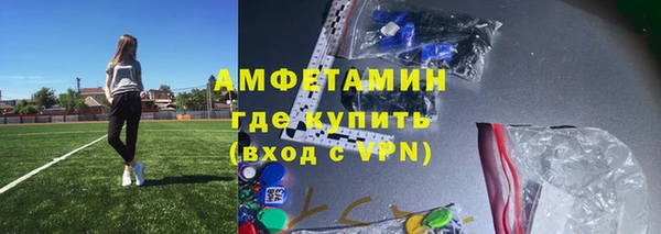 индика Арсеньев