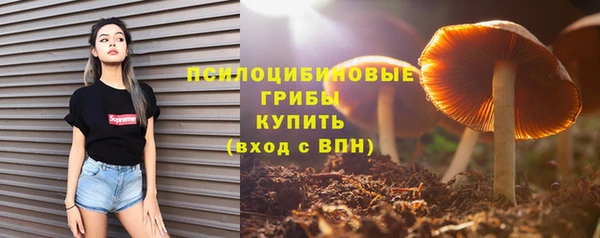 индика Арсеньев